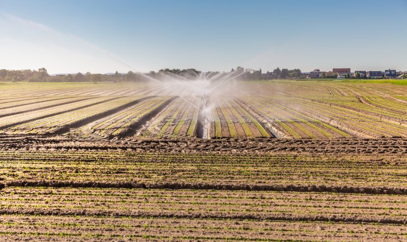 Crop Irrigation Installation in Aiken, SC