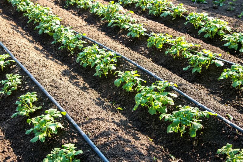 Drip Irrigation Installation in Ventura County, CA