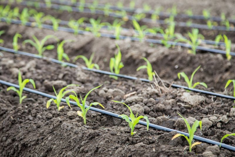 Farm Irrigation Installation in Aiken, SC