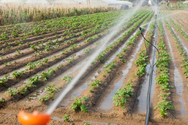 Irrigation Service in Honolulu, HI