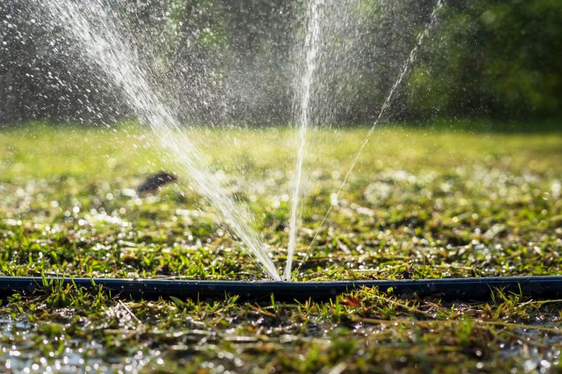 Irrigation System Replacement in Ventura County, CA