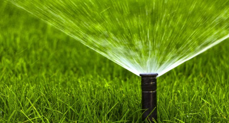 Sprinkler Head Repair in Aiken, SC
