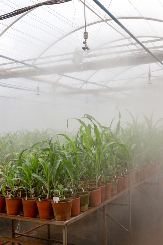 Watering System Installation in Aiken, SC