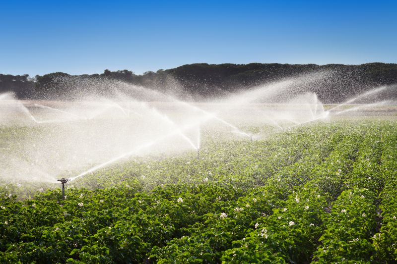 Commercial Irrigation Service in Aiken, SC
