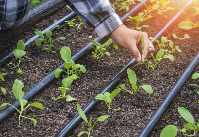 Commercial Irrigation Service in Ventura County, CA