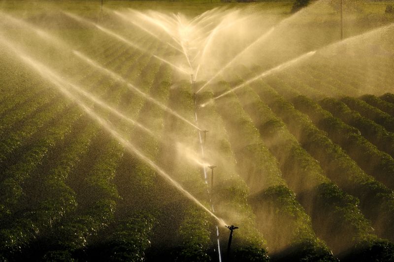 Commercial Irrigation Service in Honolulu, HI