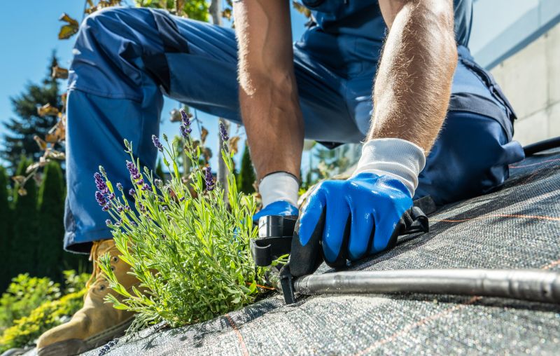 Drip Irrigation Installation in Honolulu, HI