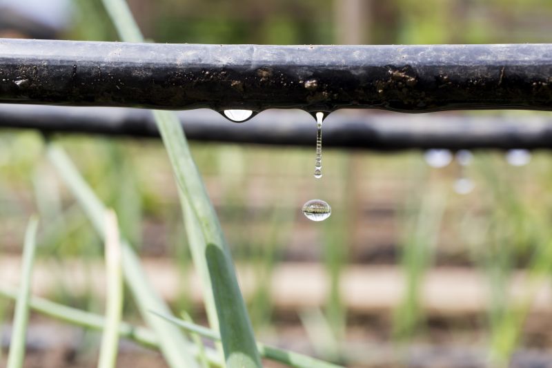 Garden Irrigation Installation in Aiken, SC
