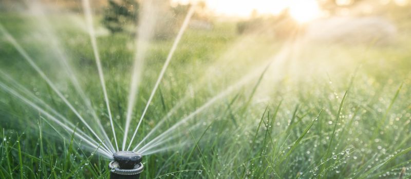 Grass Sprinkler Repair in Ventura County, CA