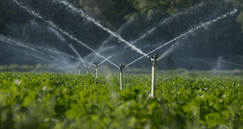 Irrigation Service in Aiken, SC