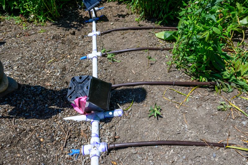 Irrigation System Replacement in Honolulu, HI