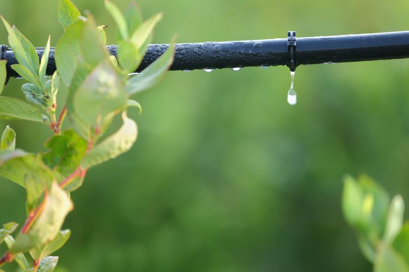 Irrigation System Replacement in Aiken, SC