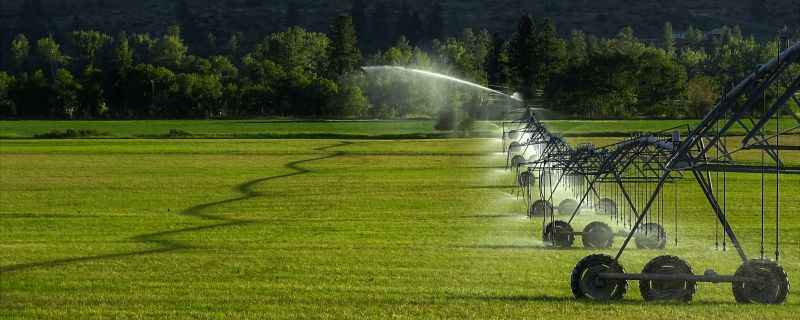 Lawn Irrigation Installation in Ventura County, CA