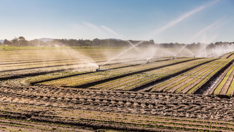 Mist Irrigation Installation in Ventura County, CA