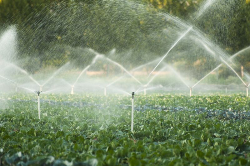 Plant Irrigation Installation in Aiken, SC