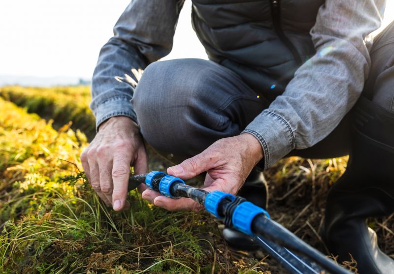 Sprinkler Line Repair in Ventura County, CA