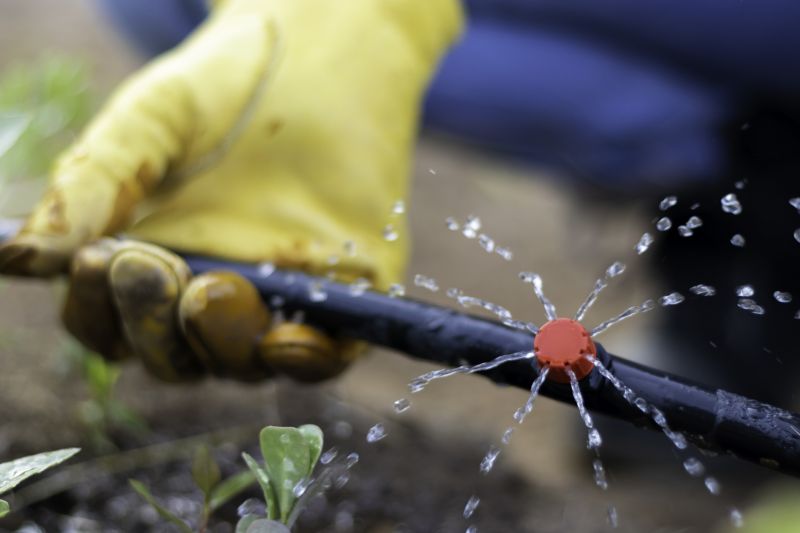 Sprinkler Line Replacement in Ventura County, CA