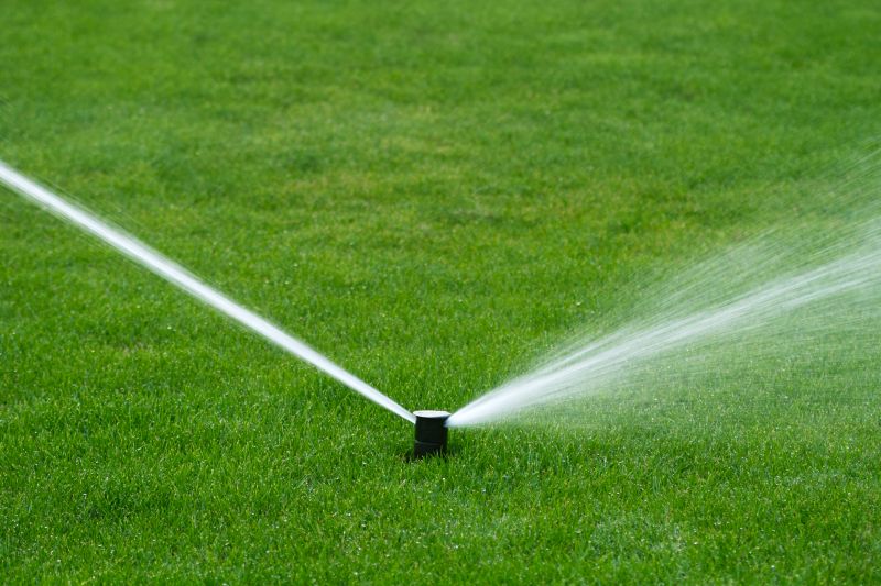 Sprinkler Winterization in Carson City, NV